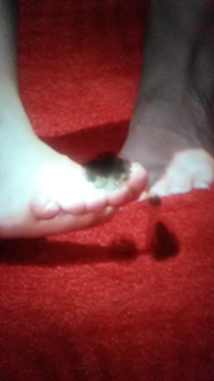 McZoZ2Gq Emma Watson Cum Tributes 39.jpg